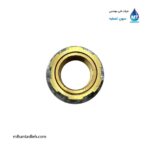 فیتینگ هوم لند